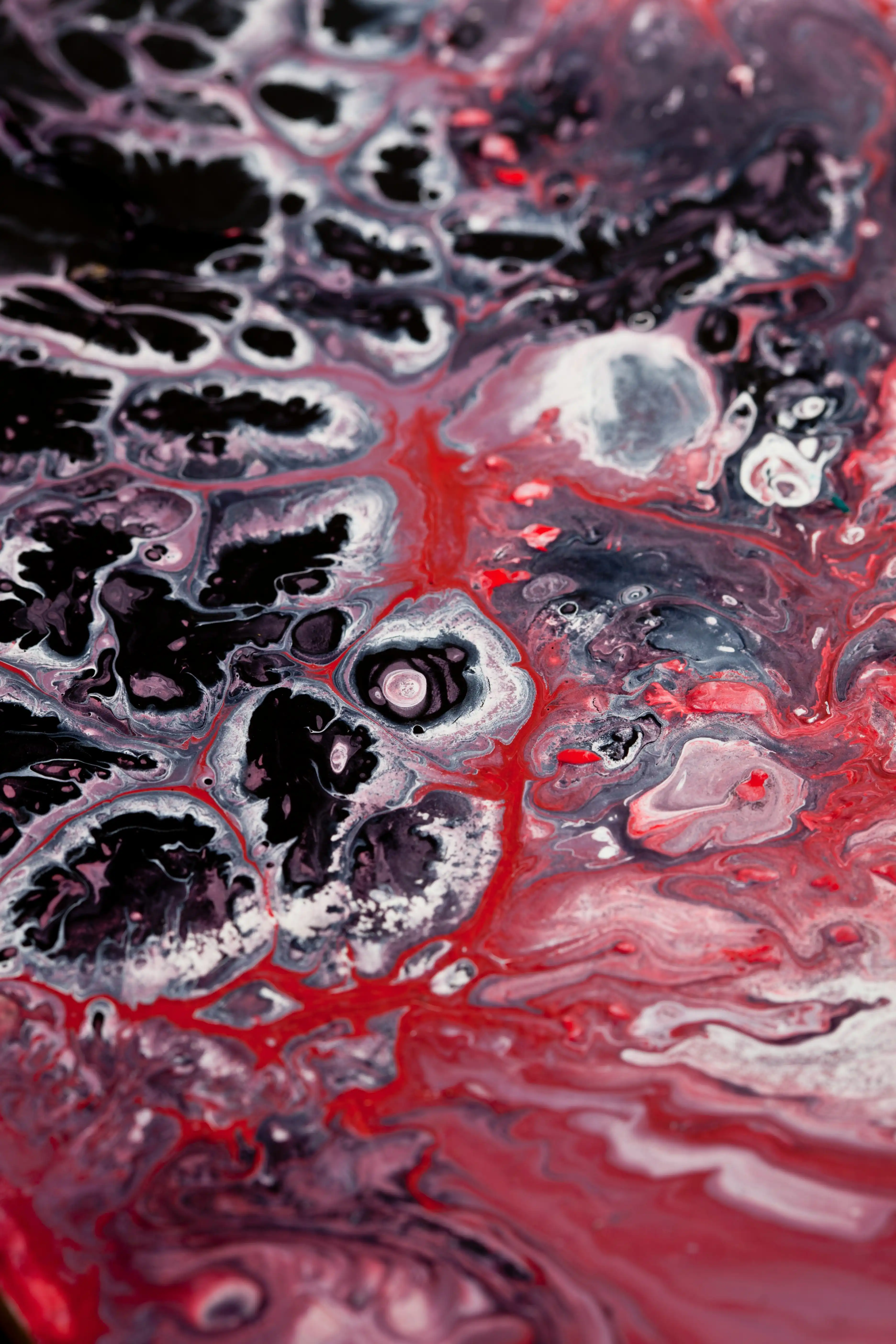 Kelola Paket Membership